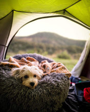 Carregar imagem no visualizador da galeria, Nova Cama Anti-Estresse Petcalmer