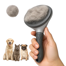 Carregar imagem no visualizador da galeria, Escova Tira Pelos Autolimpante com Botão