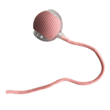 Carregar imagem no visualizador da galeria, Bola Inteligente Interativa com Cauda para Pet