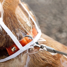 Carregar imagem no visualizador da galeria, Capa de Chuva Transparente Impermeável para Cães