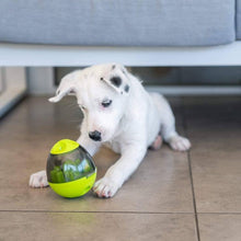 Carregar imagem no visualizador da galeria, Estimulante Mental Para Cães e Gatos