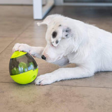 Carregar imagem no visualizador da galeria, Estimulante Mental Para Cães e Gatos