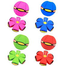 Carregar imagem no visualizador da galeria, Bola Mágica Disco Voador para Cães