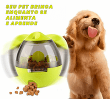 Carregar imagem no visualizador da galeria, Estimulante Mental Para Cães e Gatos