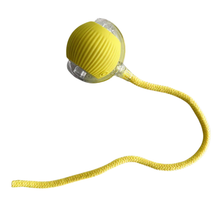 Carregar imagem no visualizador da galeria, Bola Inteligente Interativa com Cauda para Pet
