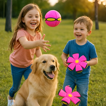 Carregar imagem no visualizador da galeria, Bola Mágica Disco Voador para Cães
