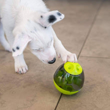 Carregar imagem no visualizador da galeria, Estimulante Mental Para Cães e Gatos
