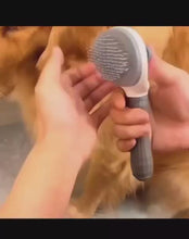 Carregar e reproduzir vídeo no visualizador da galeria, Escova Tira Pelos Autolimpante com Botão
