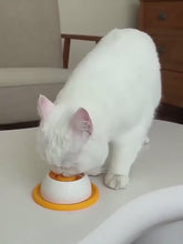 Carregar e reproduzir vídeo no visualizador da galeria, Comedouro Interativo com Bola Giratória de Lamber
